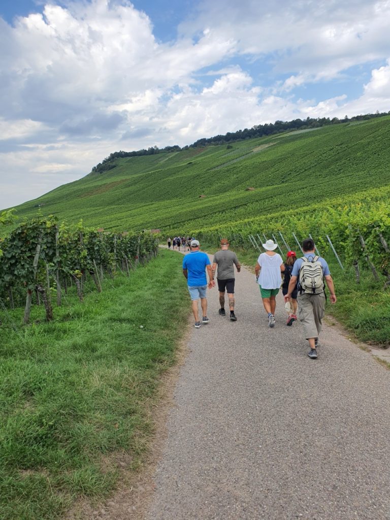 3. Weinwanderung des WINESTR CLUB