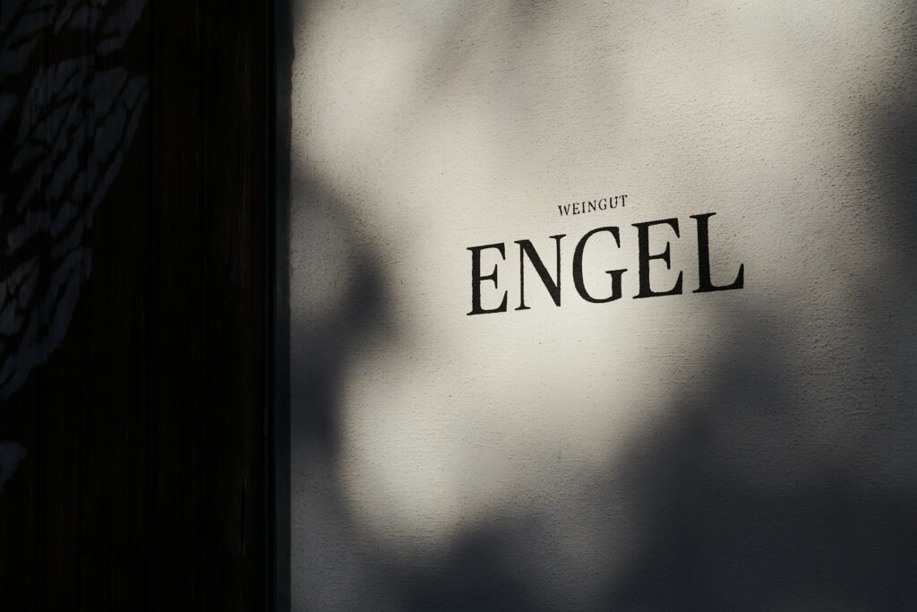 Club-Angebot Weingut Engel – Tieschen / Vulkanland Steiermark