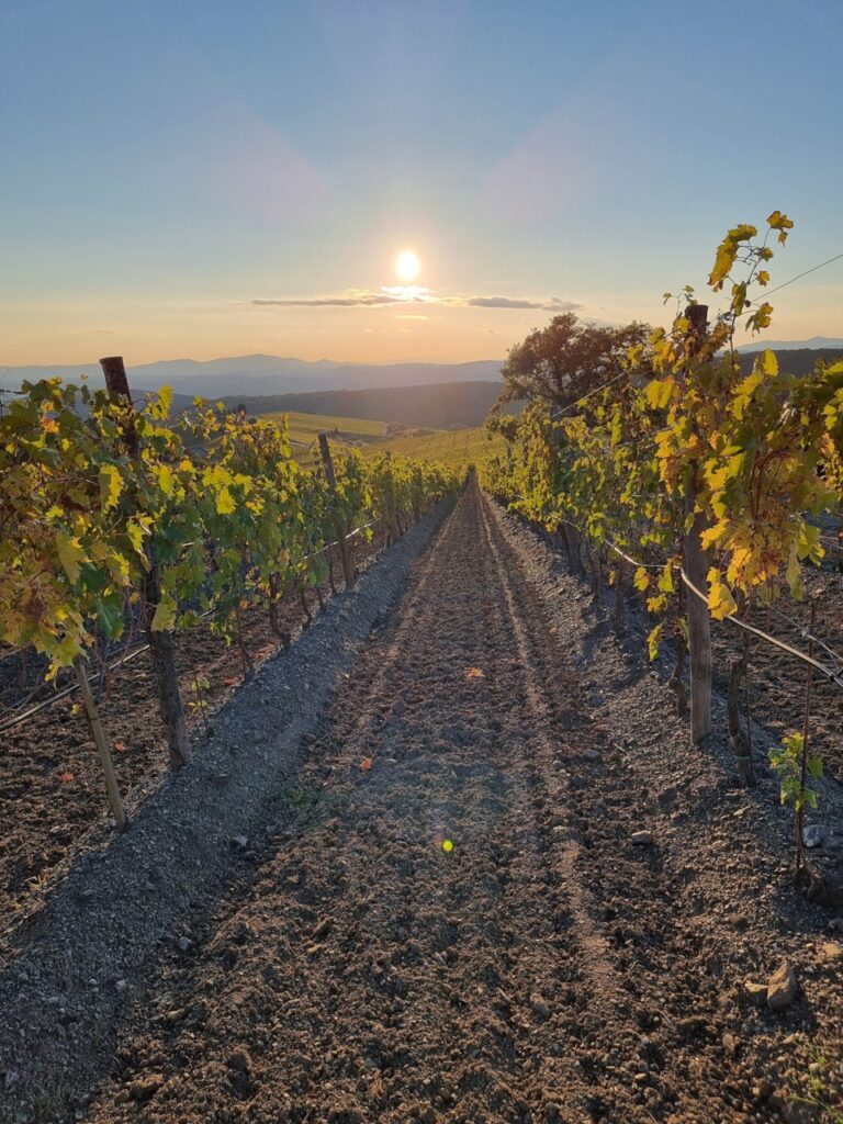 Exklusive Masterclass Seminare