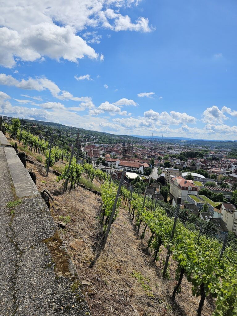 Weinwanderung von Esslingen nach Obertürkheim