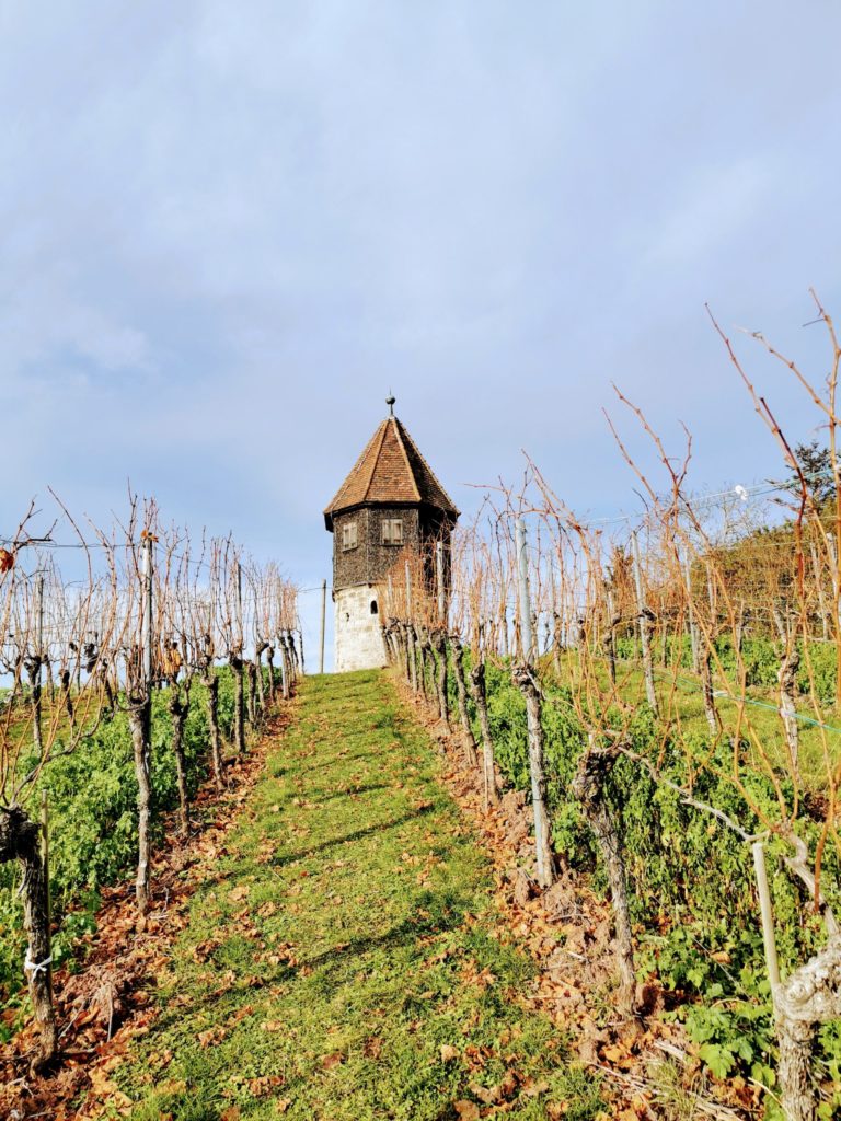 Newcomer und alte Hasen