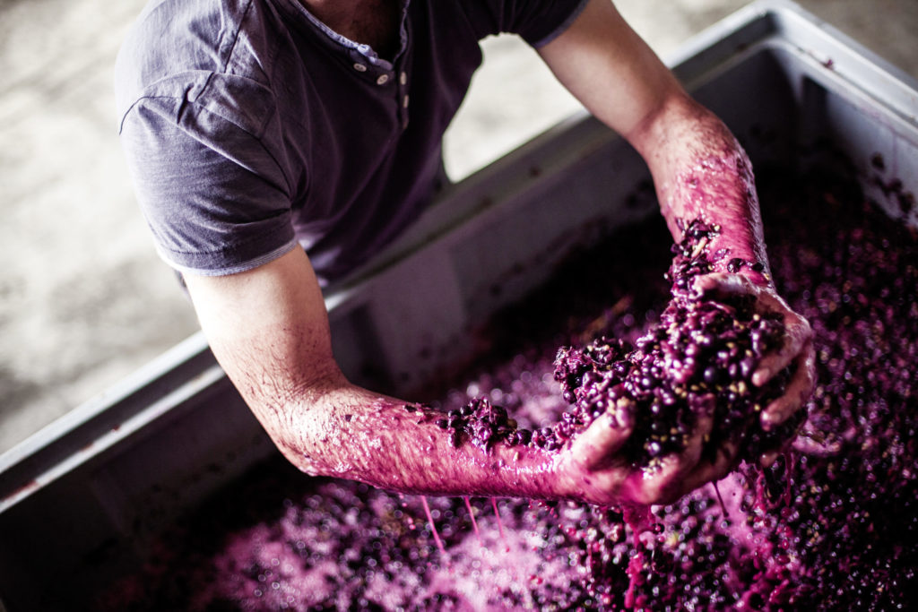 Weingut Peth-Wetz –  Bermersheim , Rheinhessen