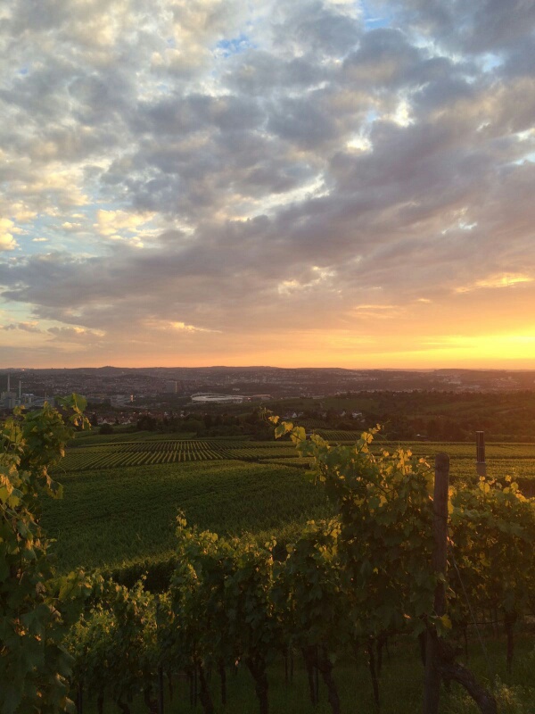 Guts.Bar im Weingut Heid – Fellbach