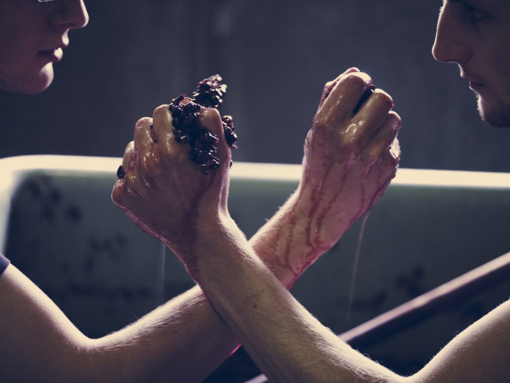 Club-Angebot Weingut Siegloch