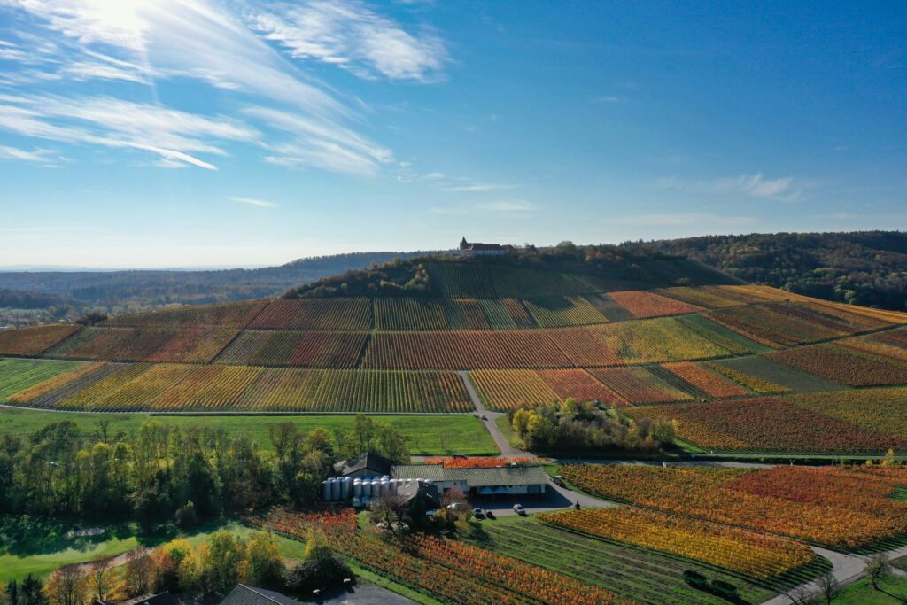 Club-Angebot Privatkellerei Storz – Cleebronn