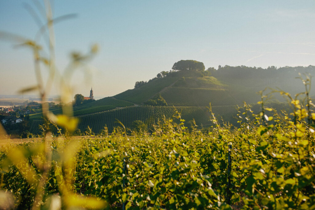 Recap VDP.Weinbörse 2023