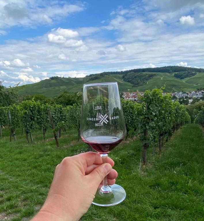 Von Esslingen nach Obertürkheim