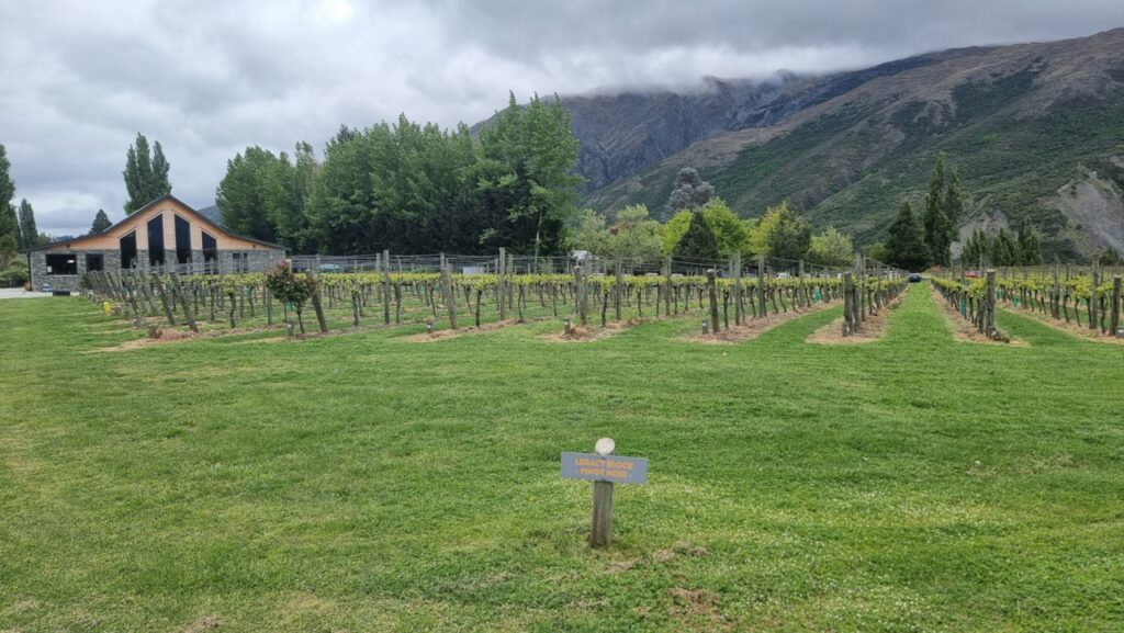 Kinross Winery – Central Otago, Südinsel