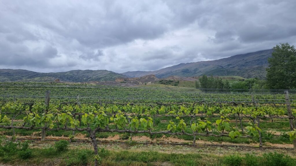 Mt Difficulty Wines – Central Otago, Südinsel