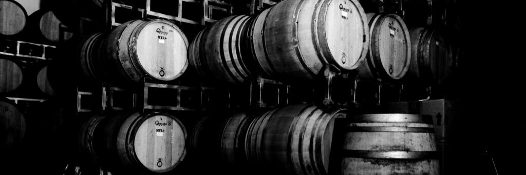 Experten-Extrakt Vol. 2: Kai Schubert Winzer Neuseeland