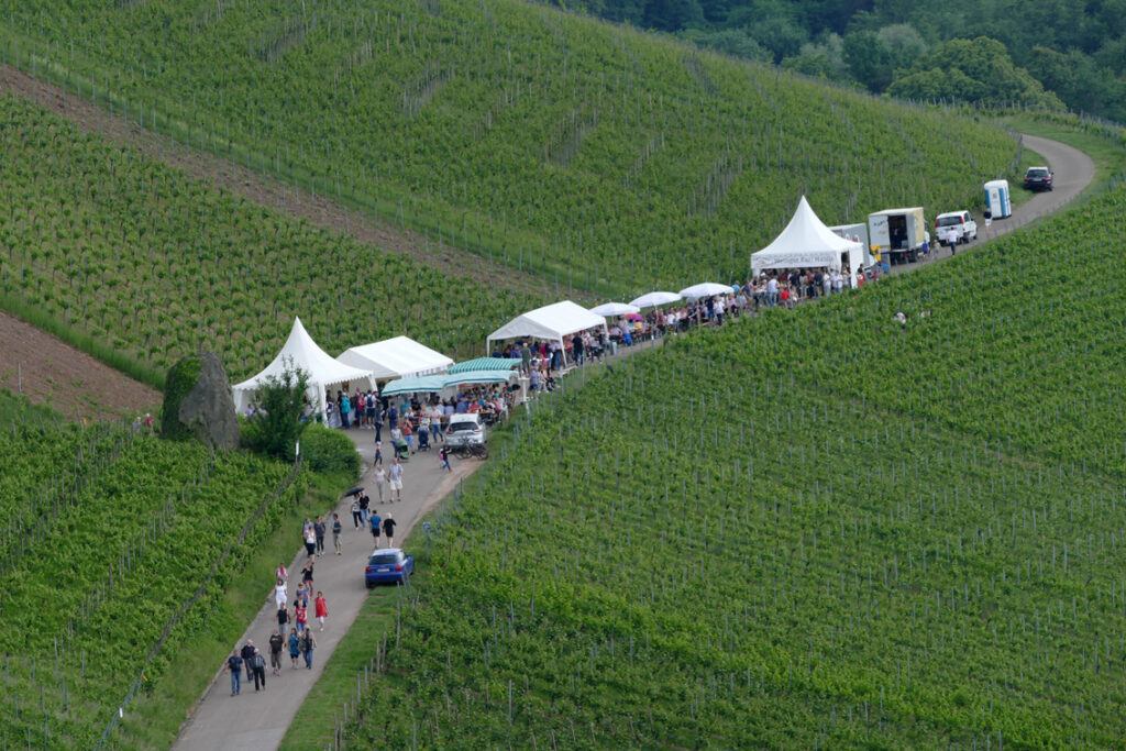 Kulinarischer Weinweg am Pfingstwochenende