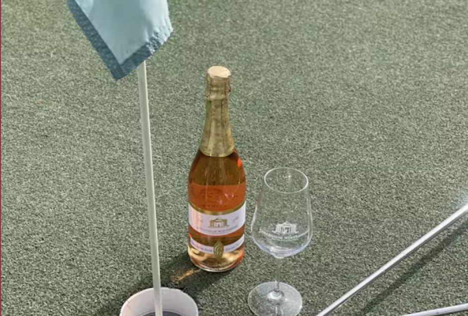 Stuttgarts beste Weine meets Weinbaumuseum 2025